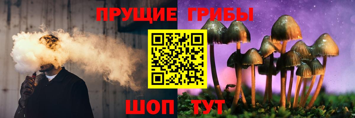 Новоалександровск  наркотики  Вход с VPN  Галлюциногенные грибы Psilocybine cubensis 